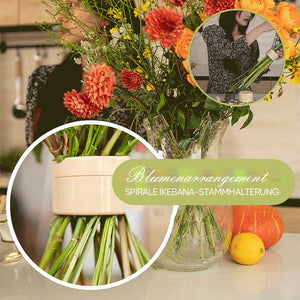 Spiralförmiger Ikebana-Stängel-Halter