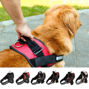 Reflektierende all-in-one No Pull-Hundegeschirr